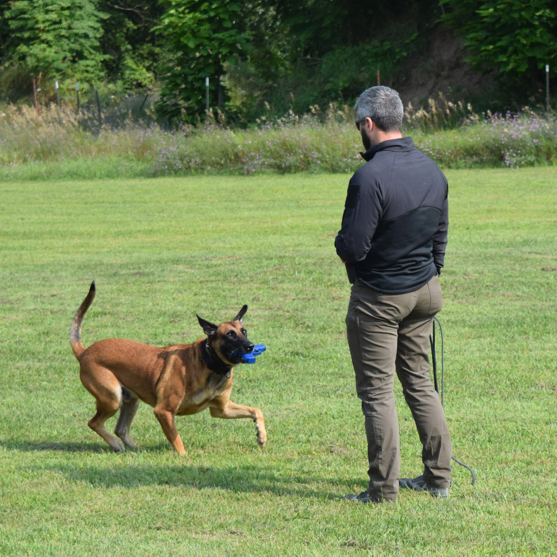 Chance fetches a blue plastic gun and awaits further instructions from Kevin Roman